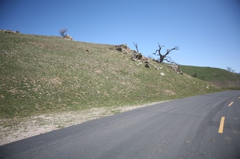 Enlarge photo 47