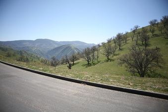 Enlarge photo 49