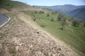 Enlarge photo 53