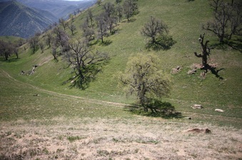 Enlarge photo 54