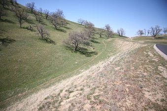 Enlarge photo 55