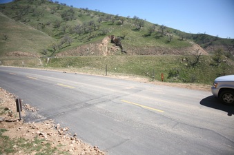 Enlarge photo 57