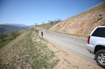 Enlarge photo 67
