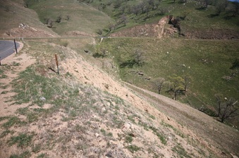 Enlarge photo 70