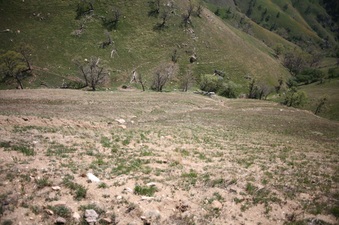 Enlarge photo 71
