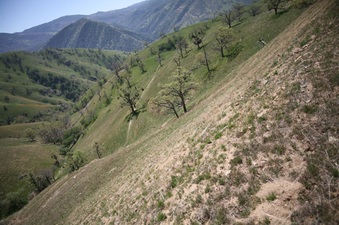 Enlarge photo 72