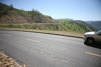 Enlarge photo 73