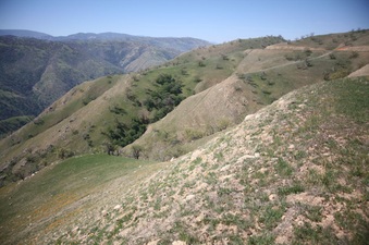 Enlarge photo 82