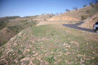 Enlarge photo 83