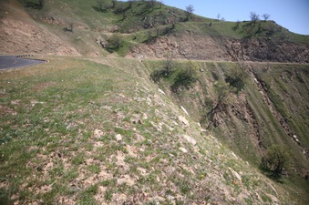 Enlarge photo 96