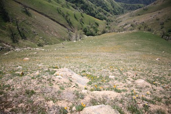 Enlarge photo 95