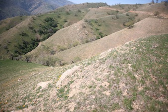 Enlarge photo 97