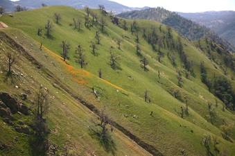 Enlarge photo 98