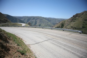 Enlarge photo 103
