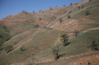 Enlarge photo 118