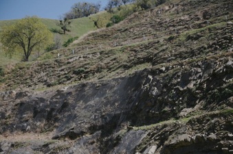 Enlarge photo 121