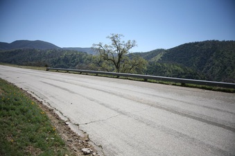 Enlarge photo 122