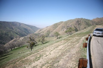 Enlarge photo 125