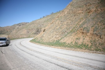 Enlarge photo 127