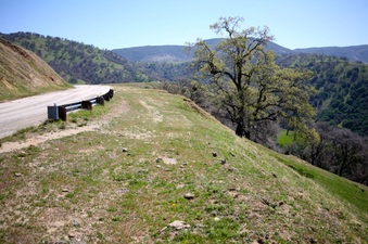 Enlarge photo 135