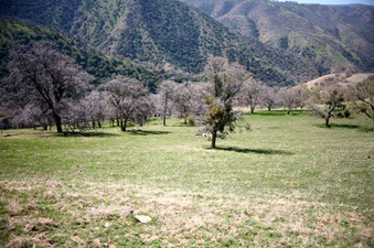 Enlarge photo 136