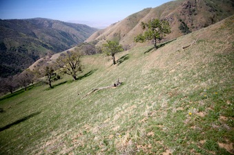 Enlarge photo 137