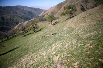 Enlarge photo 138