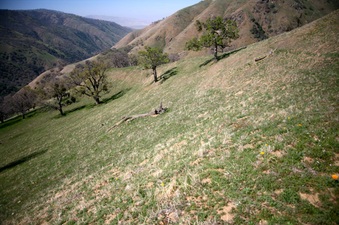 Enlarge photo 139