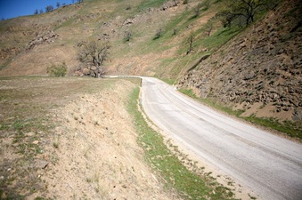Enlarge photo 142