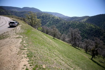 Enlarge photo 145