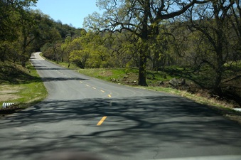 Enlarge photo 149