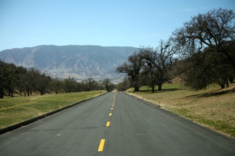 Enlarge photo 153