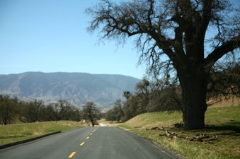 Enlarge photo 154