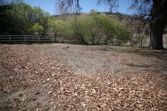Enlarge photo 158