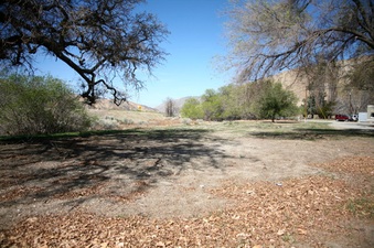 Enlarge photo 159