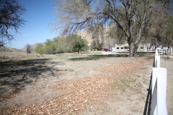 Enlarge photo 160