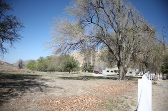 Enlarge photo 161