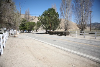 Enlarge photo 164