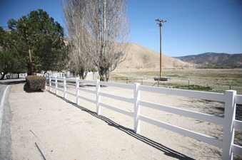 Enlarge photo 167