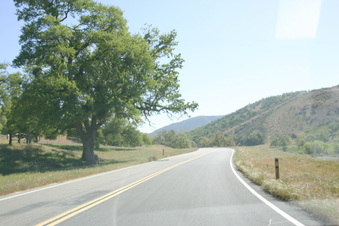 Enlarge photo 23