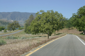 Enlarge photo 31