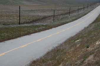 Bitter Creek Preserve/CN Rd. @ mm1.47