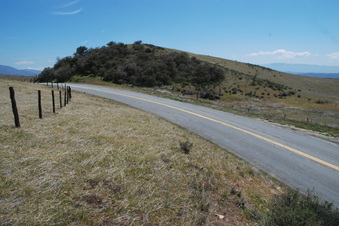 Enlarge photo 16