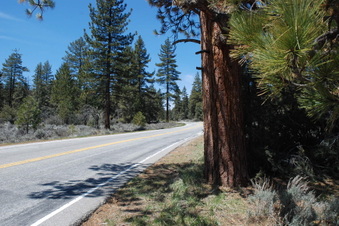 Enlarge photo 3