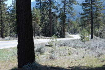 Enlarge photo 7
