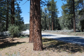 Enlarge photo 10