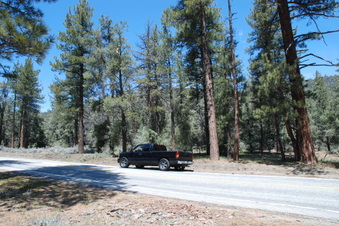 Enlarge photo 11