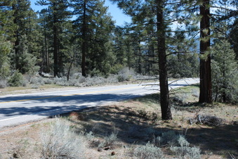 Enlarge photo 12
