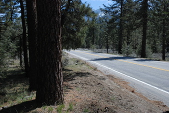 Enlarge photo 15