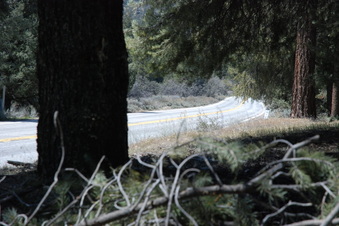 Enlarge photo 11